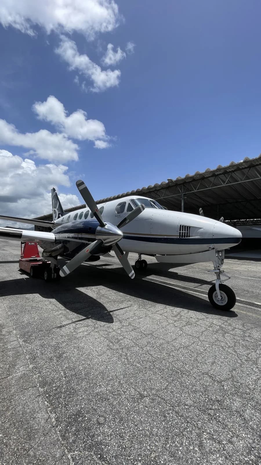 Beechcraft King Air B100 (Bravo 100) imagen de galería 2